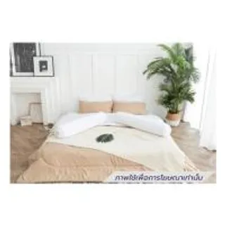 ชุดผ้าปูที่นอน 6 ฟุต (ชุด 6 ชิ้น) SANTA BEDDING สี WHITE/BROWN (1292748)