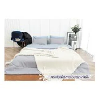 ชุดผ้าปูที่นอน 6 ฟุต (ชุด 6 ชิ้น) SANTA BEDDING สี LIGHT BLUE/LITGT GREY (1292630)