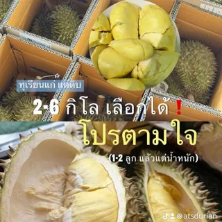 ทุเรียนหมอนทองจันทบุรี 2-6kg เลือกน้ำหนักตามใจชอบ (1-2 ลูก)