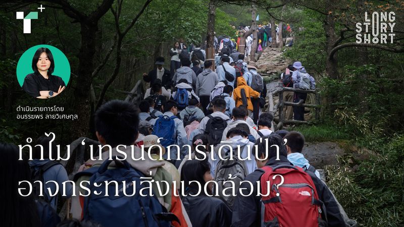 ทำไม ‘เทรนด์การเดินป่า’ อาจกระทบสิ่งแวดล้อม?