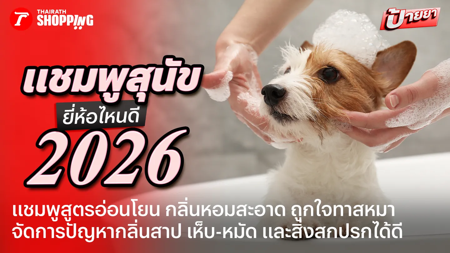 น้องหมาขนนุ่มหอมสะอาด! 10 แชมพูสุนัข ยี่ห้อไหนดี 2026 อ่อนโยน ขนสวย ลดกลิ่นสาบ หอมสดชื่น