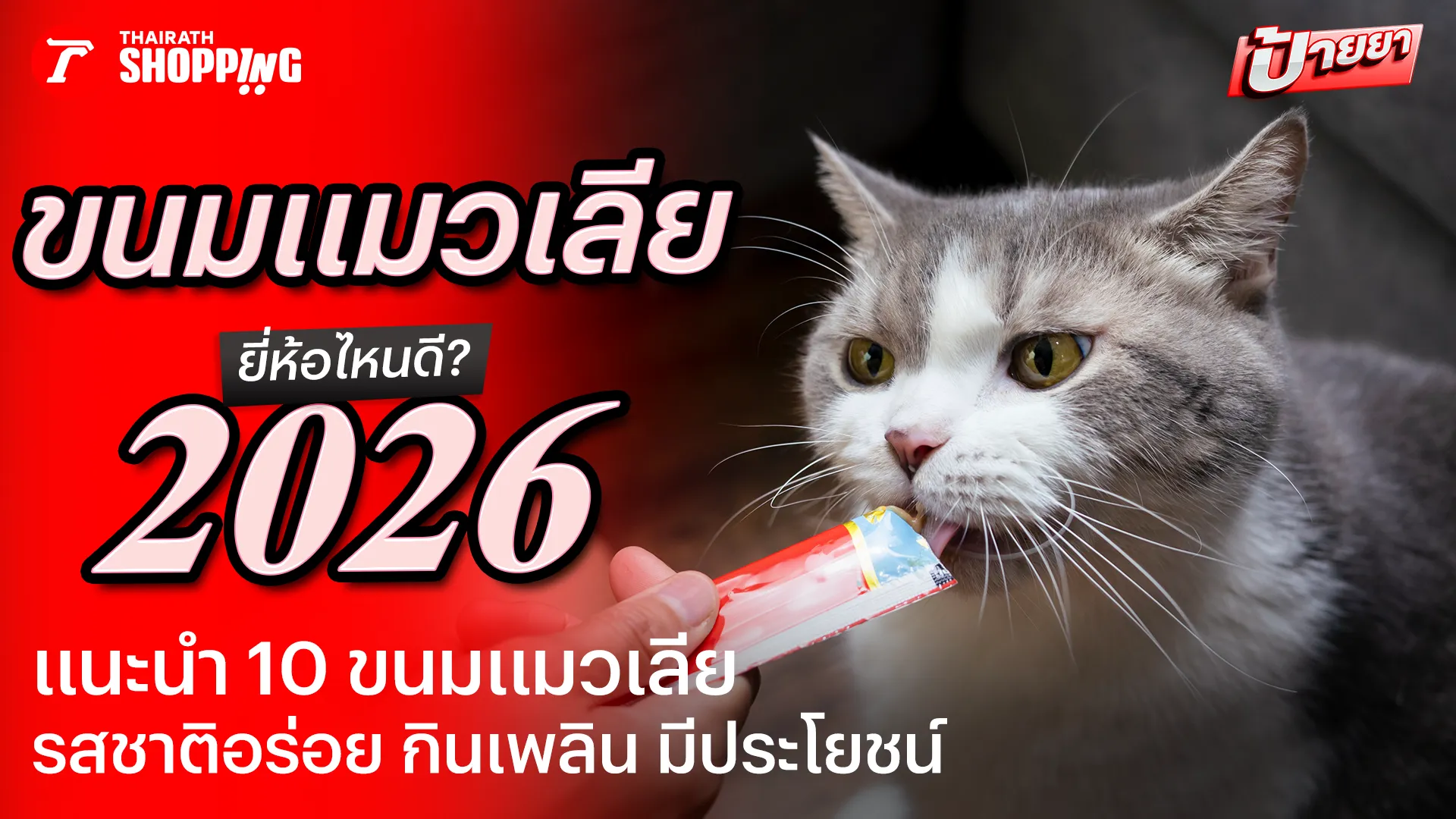 10 ขนมแมวเลีย ยี่ห้อไหนดี 2026 อร่อย มีประโยชน์ น้องแมวชอบ