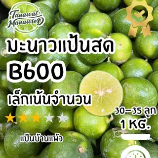 [มะนาวแป้นบ้านแพ้ว B600 เล็กเน้นจำนวน]เปลือกบาง น้ำเยอะดี ประหยัด คุ้มค่า (ไม่คัดเกรดเน้นจำนวนเท่านั้น)