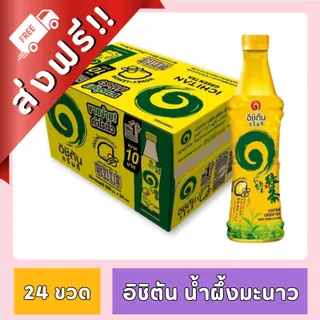 [ ส่งฟรี!! ] อิชิตัน ชาเขียวพร้อมดื่ม ขนาด 280 ml. x 24 ขวด ยกลัง ของกินของใช้