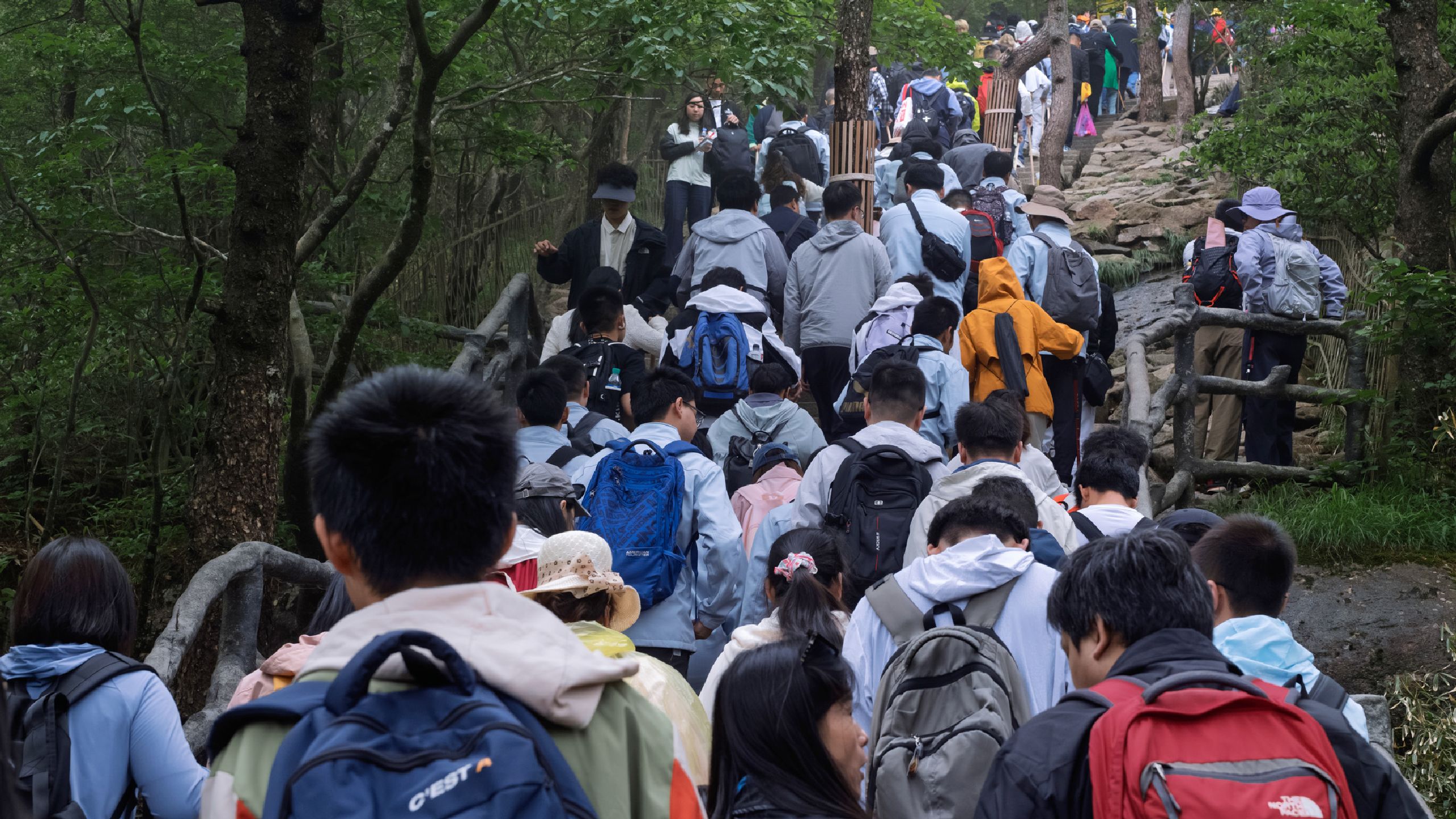 เมื่อการ ‘เดินป่า’ อาจกระทบกับสิ่งแวดล้อม ทำความรู้จักหลักการ ‘Leave No Trace’  เราจะสำรวจธรรมชาติอย่างไรให้มีความรับผิดชอบ