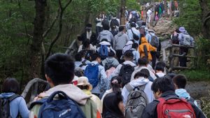 เมื่อการ ‘เดินป่า’ อาจกระทบกับสิ่งแวดล้อม ทำความรู้จักหลักการ ‘Leave No Trace’  เราจะสำรวจธรรมชาติอย่างไรให้มีความรับผิดชอบ