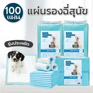 ซื้อ 1 แถม 1🔥แผ่นรองฉี่สุนัข แผนรองฉี่สุนัข ห้องน้ำหมา แผ่นรองฉี่สัตว์เลี้ยง ช่วยฝึกขับถ่าย ระงับกลิ่น ซึมซับไดีดี