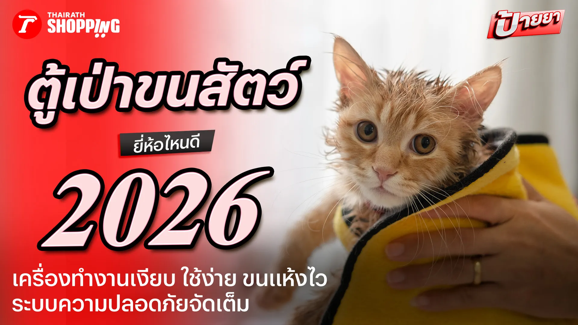 แนะนำ 7 ตู้เป่าขน ยี่ห้อไหนดี 2026 เสียงเงียบ ใช้ง่าย ขนแห้งไว