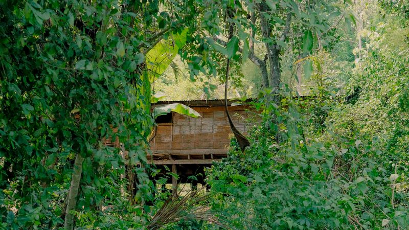 เมื่อสิทธิในที่อยู่อาศัยเป็นเพียงคำสัญญา: ช่องว่างระหว่างกติการะหว่างประเทศและการไล่รื้อในนามการพัฒนา