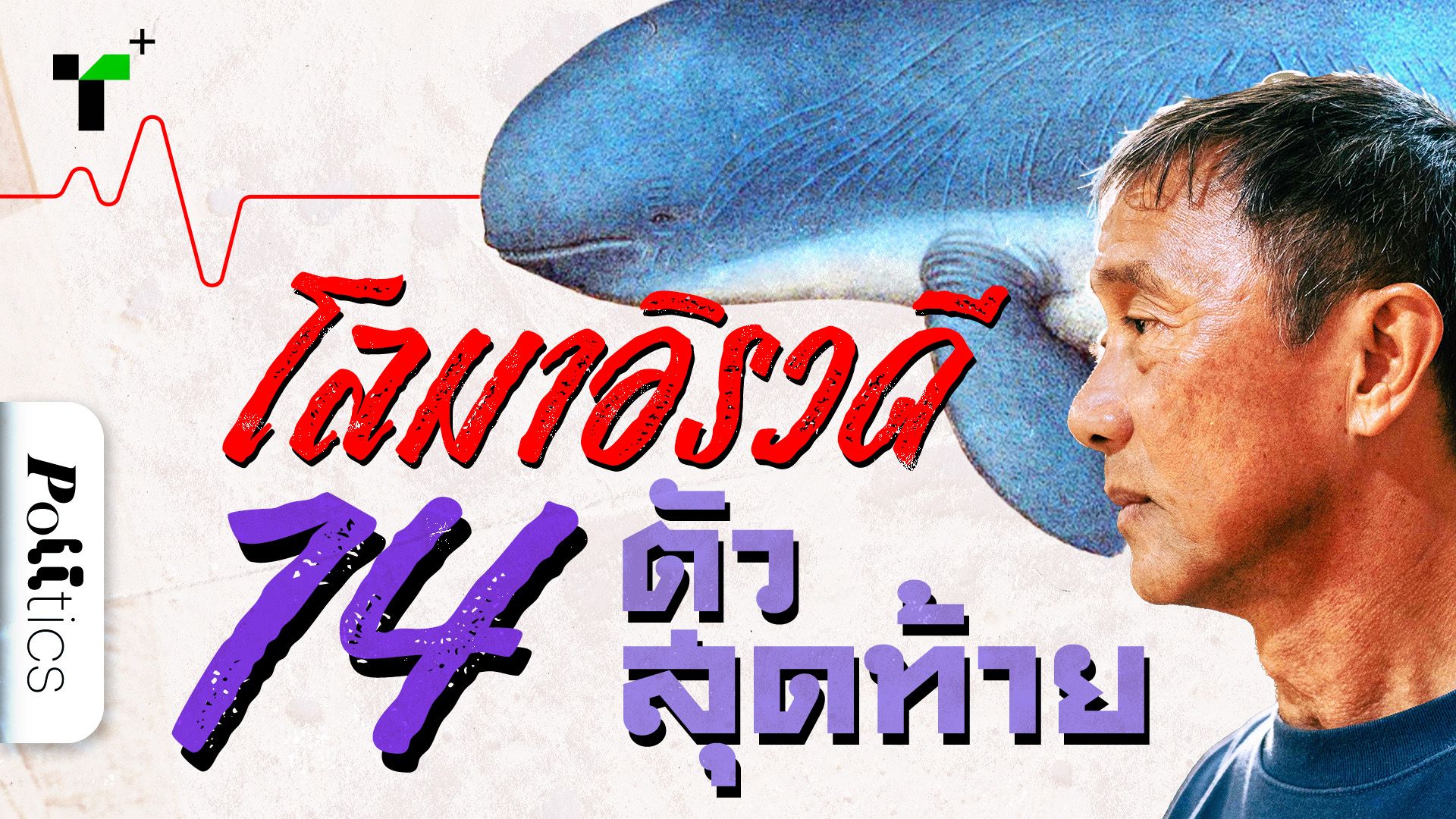 โลมาอิรวดี 14 ตัวสุดท้ายในทะเลสาบสงขลา