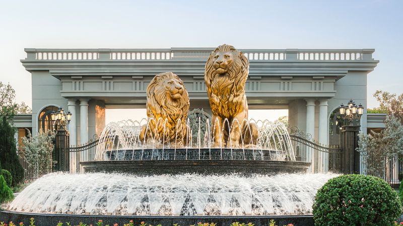 The Inner Lion Confidence Ego Identity ทำความรู้จักสิงโตในตัวเรา