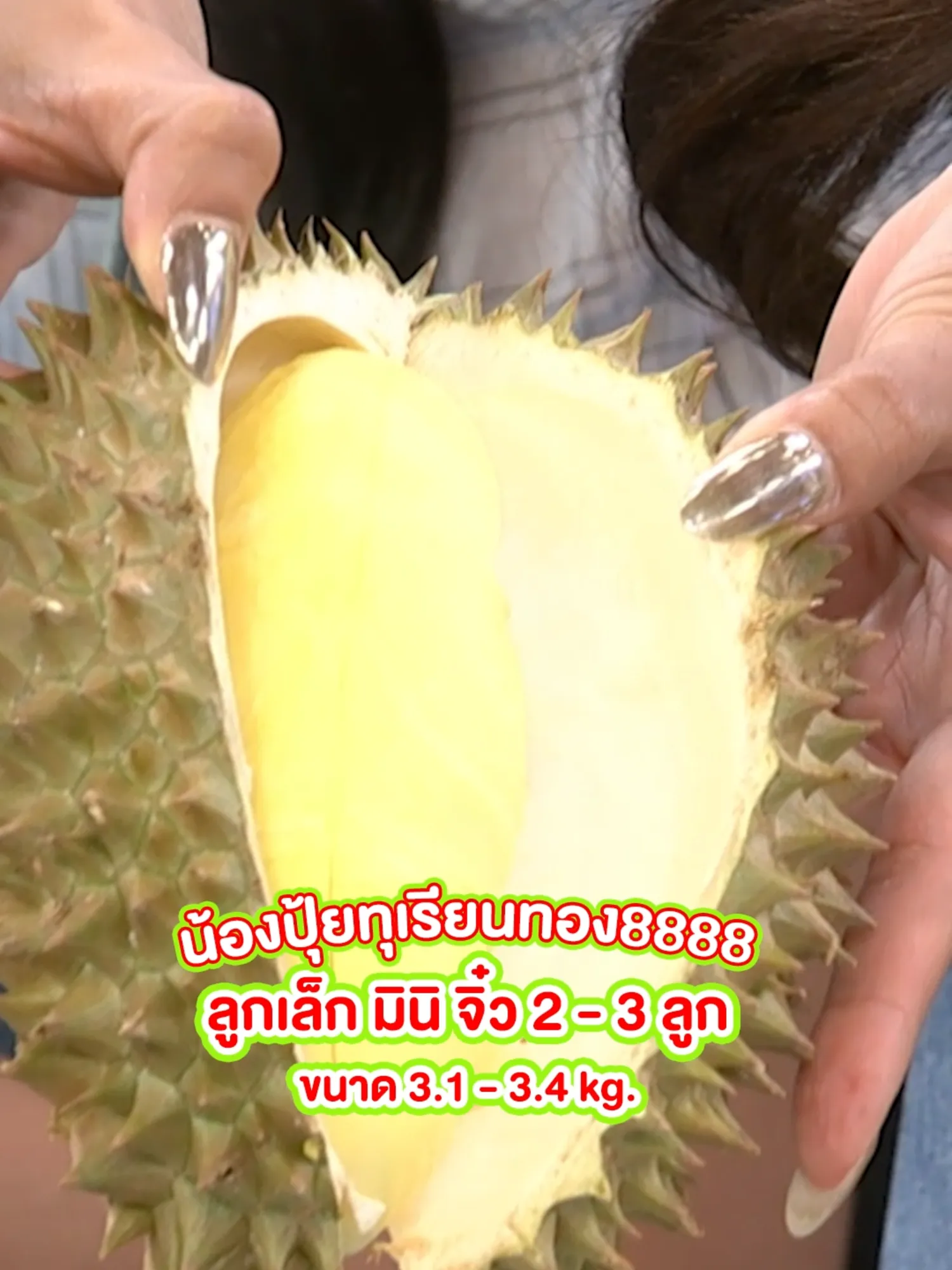 ทุเรียนหมอนทองไซส์เล็กจิ๋ว ได้ 2-3 ลูก น้ำหนักรวม 3.1-3.4 กก.