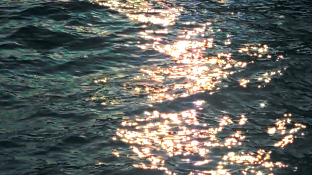 Blue Mind [n.]  ความรู้สึกสงบผ่อนคลายใจเมื่อได้อยู่ใกล้น้ำ เช่น การว่ายน้ำ นั่งมองน้ำ อาบน้ำ  หรือแม้แต่การดื่มน้ำหนึ่งแก้ว