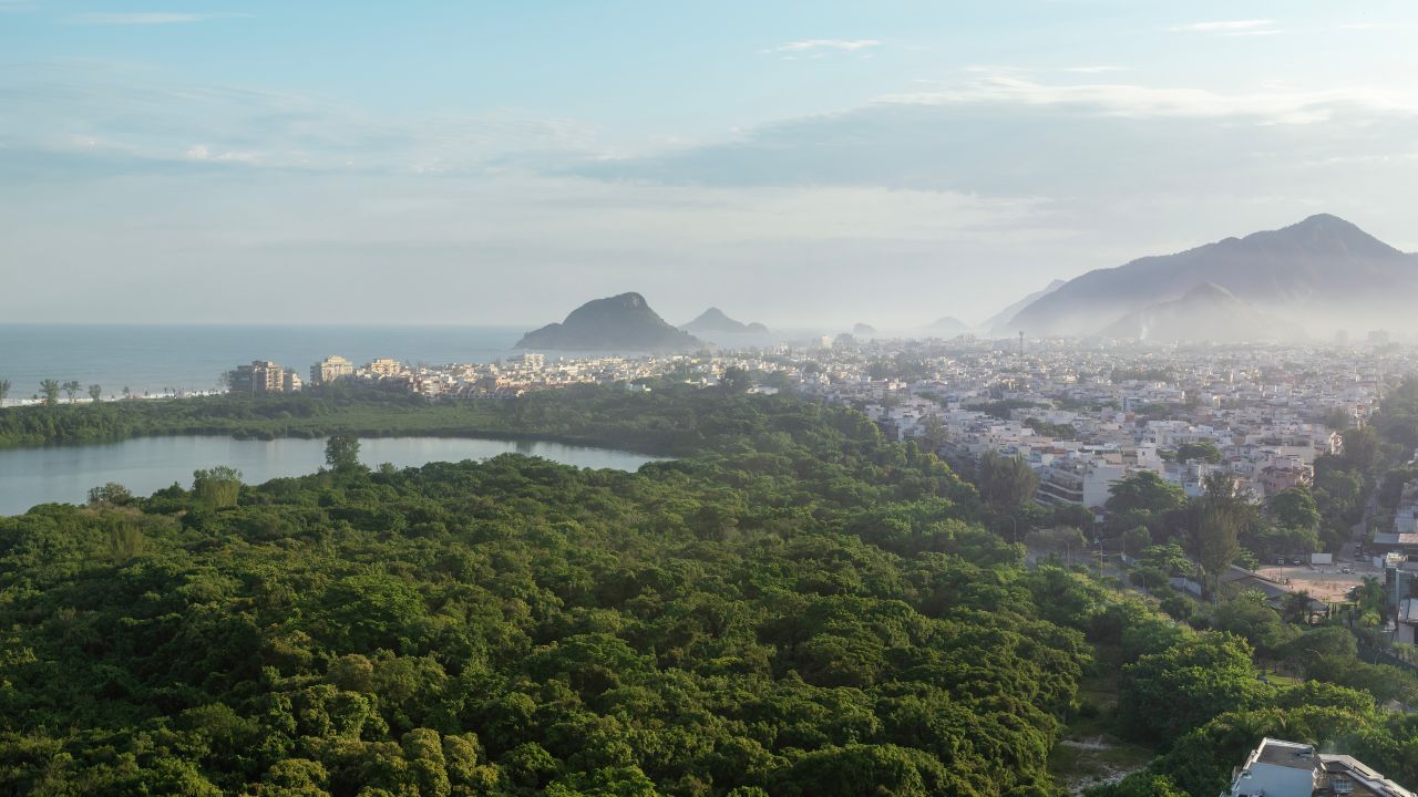 What is Reforestation? เพราะการฟื้นฟูป่าไม่ใช่เรื่องเหนือจริง  ว่าด้วยบทเรียนที่ป่าเขาในบราซิลกำลังตะโกนบอกเรา