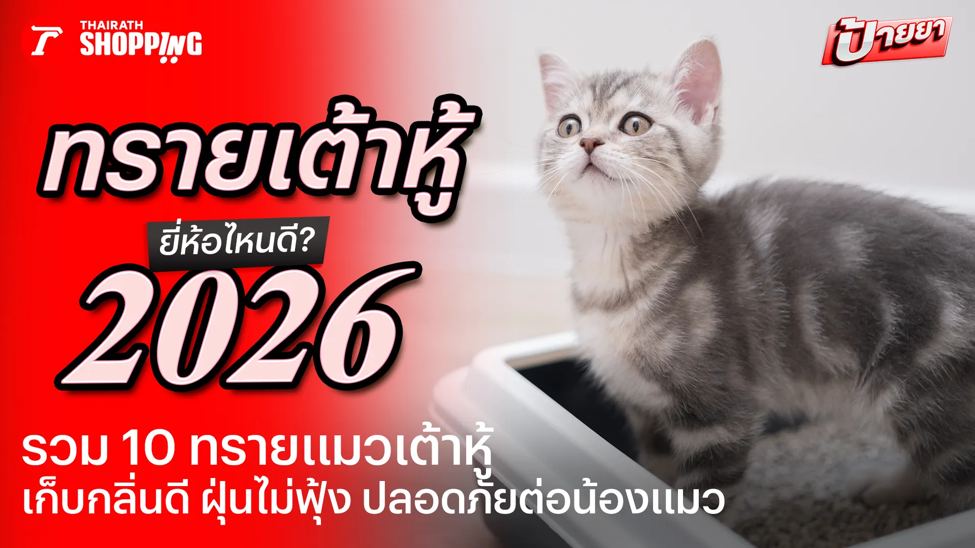 10 ทรายแมวเต้าหู้ ยี่ห้อไหนดี 2569 เก็บกลิ่นดี ฝุ่นไม่ฟุ้ง ปลอดภัยต่อน้องแมว