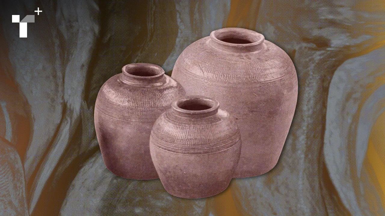 ปลาร้า ไข่เน่า มะเขือเทศ และสารพัดสิ่งปฏิกูล เมื่อคนตัวเล็กไม่มีอำนาจอะไร ความเลอะเทอะจึงกลายเป็นอาวุธชิ้นสำคัญ