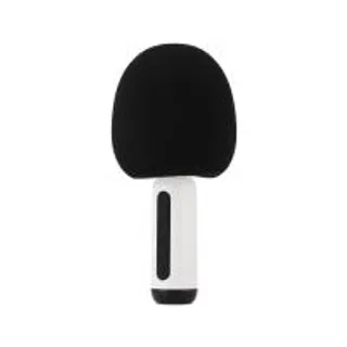 ไมโครโฟน TECHPRO Microphone Speaker (8851330107523)