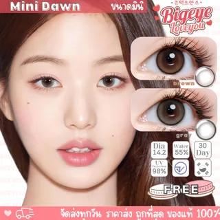 คอนแทคเลนส์ Mini Dawn Brown / Gray / Black (Kitty Kawaii) ขนาดมินิ 🌷 ลายฮิต สุดปังในเกาหลี