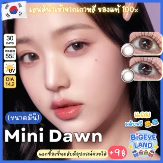 รุ่นวอนยอง IVE ⭐️ คอนแทคเลนส์ Mini Dawn Brown / Gray / Black (Kitty Kawaii) ขนาดมินิ 🌷