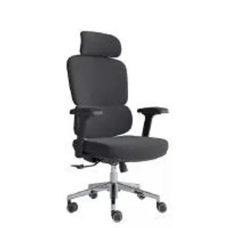 FURRADEC FURRADEC เก้าอี้เพื่อสุขภาพ รุ่น Harmony สีดำ (MKP1999830)