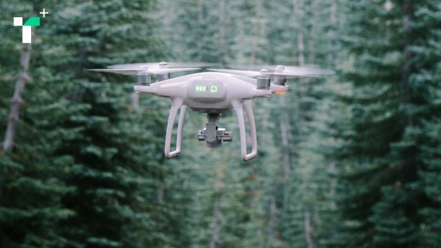 Forest Ranger Platform Digital Forest Ranger: เจ้าหน้าที่พิทักษ์ป่าดิจิทัล อาชีพแห่งโลกยุคใหม่ ...