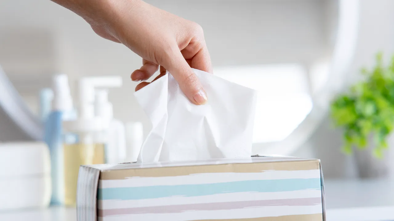 10 กระดาษทิชชู ยี่ห้อไหนดี 2567 กระดาษหนา เนื้อนุ่ม ไม่เปื่อยเป็นขุย