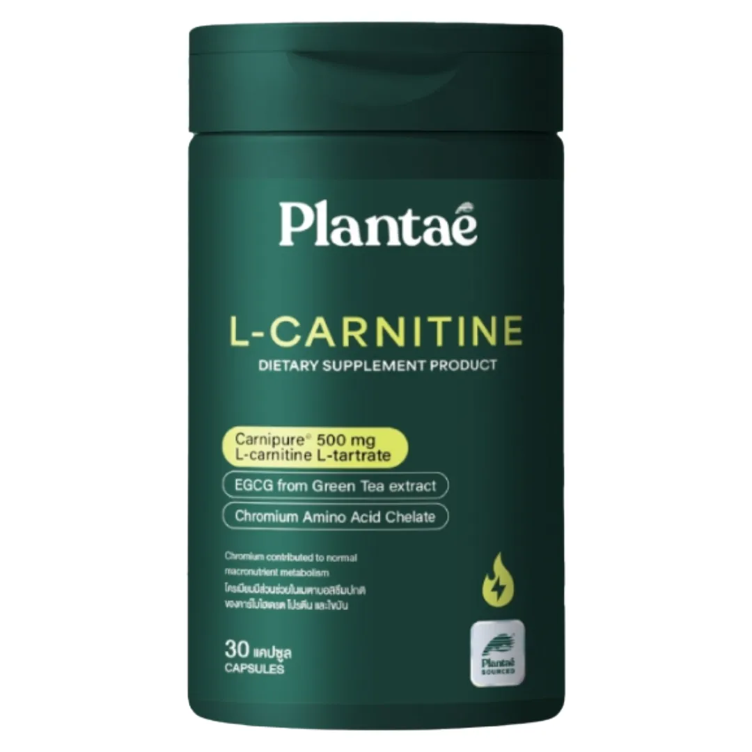 l-carnitine กินตอนไหน สายคาร์ดิโอห้ามพลาด! 10 แอลคาร์นิทีน (L-Carnitine) ยี่ห้อไหนดี 2026 กินง่าย เปลี่ยนไขมันเป็นพลังงาน