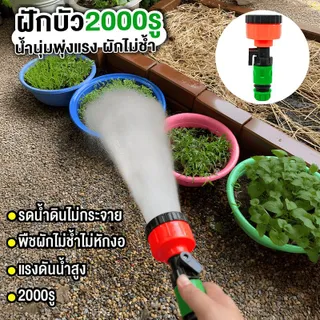 ฝักบัวรดน้ำ 2000 รู มีวาลว์เปิด-ปิด สะดวกต่อการใช้งาน น้ำนุ่ม พุงแรง ต้นไม้ไม่ช้ำ