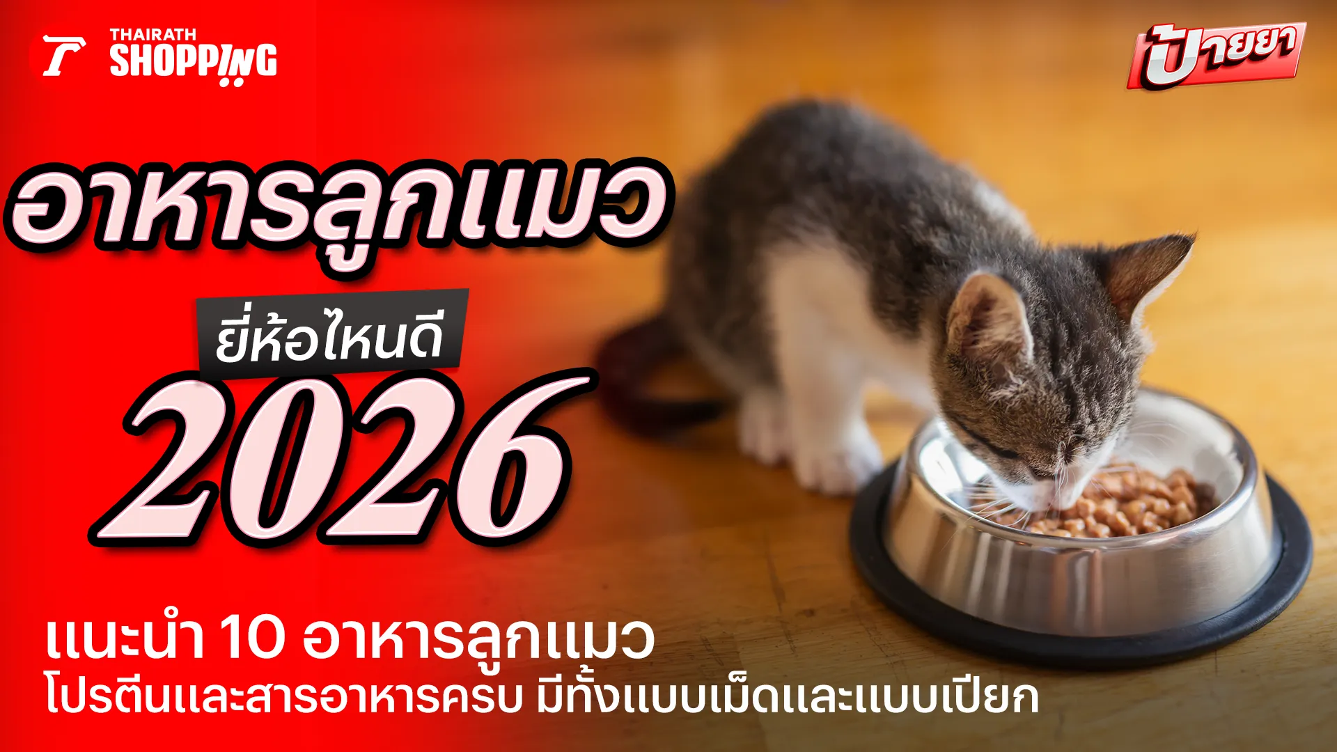 10 อาหารลูกแมว ยี่ห้อไหนดี 2569 เม็ดเล็กกินง่าย สารอาหารครบ