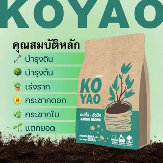 Koyao store อะมิโน ฮิวมิค สูตรเข็มข้น อาหารพืช