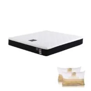 ที่นอน 5 ฟุต DUNLOPILLO ORIENT (พร้อมหมอนหนุน 2 ใบ) (1286276)