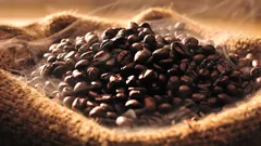 10 เมล็ดกาแฟคั่ว ยี่ห้อไหนดี 2025 กาแฟกลิ่นหอม รสชาติดี ชงได้เองที่บ้าน