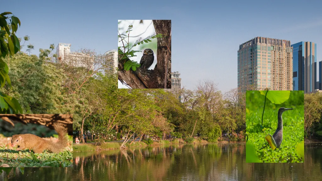 เมื่อสวนกลางเมืองไม่ได้แค่โอบอุ้มใจ แต่ก็โอบกอดสัตว์น้อยใหญ่ไว้ด้วยเหมือนกัน 