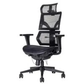 เก้าอี้สุขภาพ ERGOTREND MALMOLIGHT สีดำ (1198593)