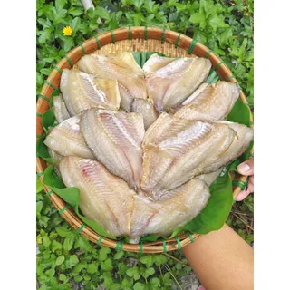 ปลานิลแดดเดียว​ ปลานิลผ่าหลัง​ ออร์แกนิก เป็นธรรมชาติ