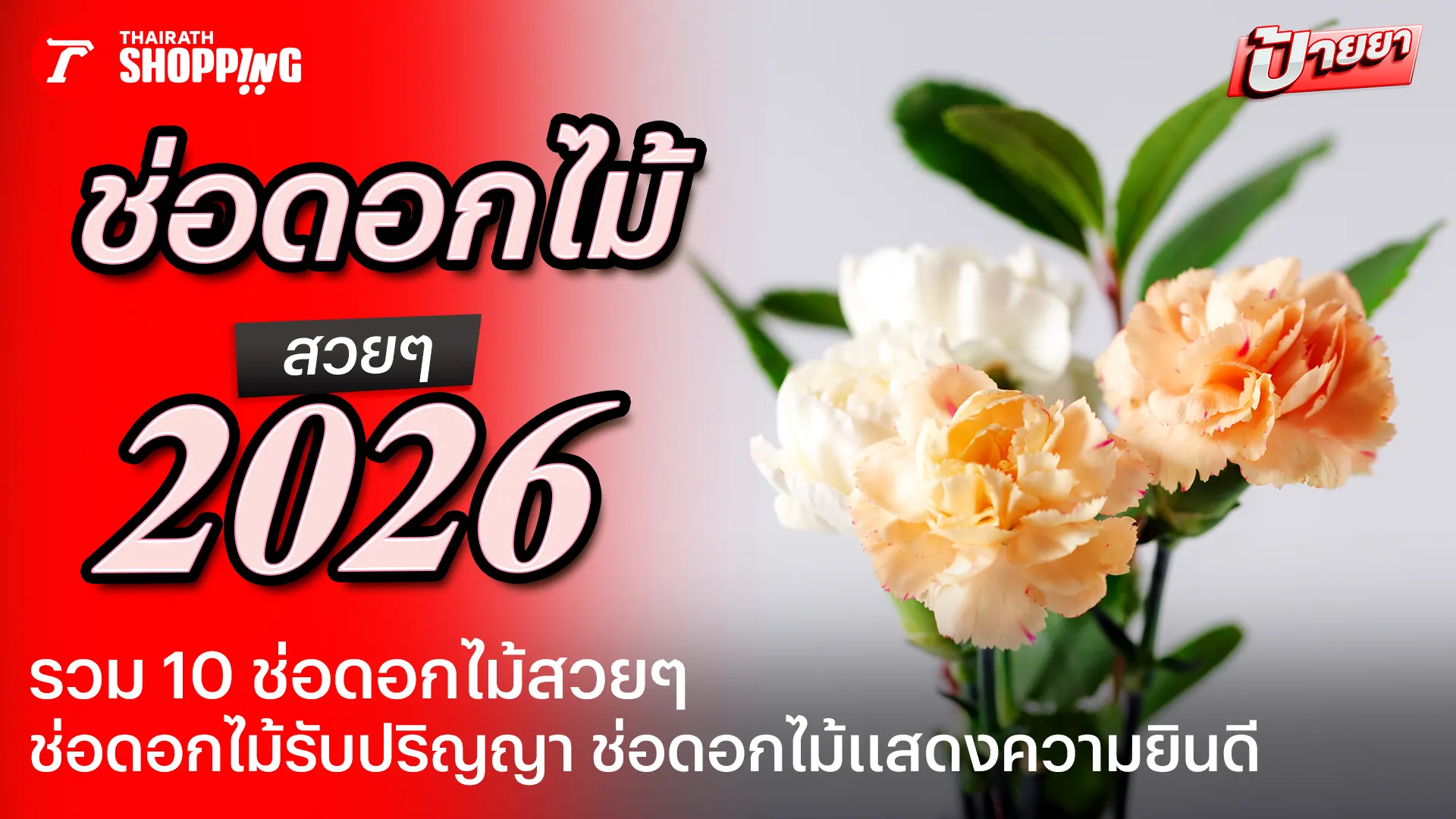 10 ช่อดอกไม้รับปริญญา 2569 ช่อดอกไม้แสดงความยินดี ในโอกาสต่างๆ