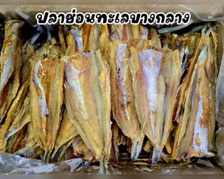 ปลาช่อนทะเลบางกลาง น้ำหนัก 500 กรัม และ 1000 กรัม ปลาช่อนทะเลไม่เค็ม ปลาช่นทะเลตากแห้ง สินค้าขายดี ตากใหม่ๆสด ใหม่จากล้ง ถูกที่สุด ใหม่สดจากผู้ผลิต เกรดส่งนอก