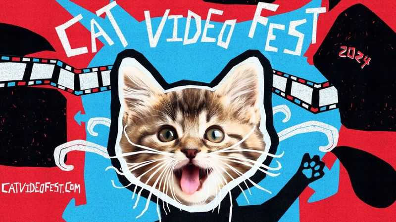 CatVideoFest เทศกาลเพื่อคนชอบดูคลิปแมว ที่คุณจะได้ดูวิดีโอยำรวมคลิปแมวความยาวชั่วโมงกว่าในโรงภาพยนตร์