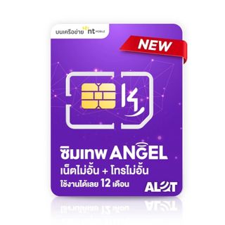 ซิมเน็ตรายปี NT ซิม Angel 15Mbps