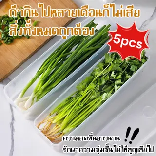 กล่องถนอมอาหาร กล่องเก็บอาหารในตู้เย็น ทำจากวัสดุ PP กล่องเก็บผักชี ต้นหอม คงความสดใหม่ของอาหาร