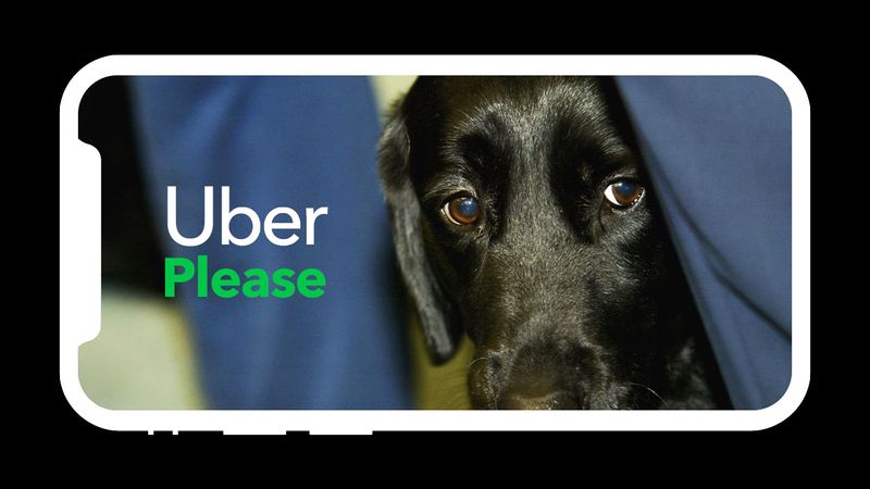 Uber ต้องจ่าย 1.1 ล้านดอลลาร์ เพราะปฏิเสธผู้หญิงตาบอด 14 ครั้ง