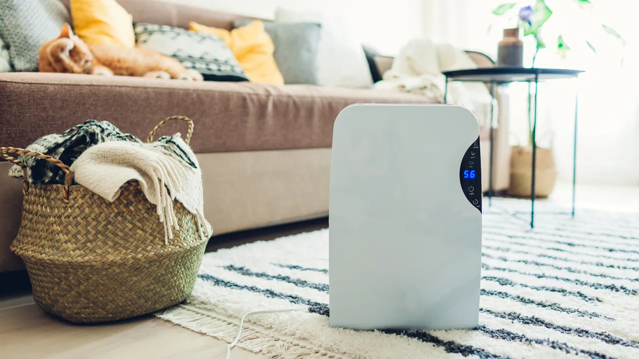 10 เครื่องลดความชื้น ยี่ห้อไหนดี 2023 ลดกลิ่นอับ ป้องกันเชื้อรา