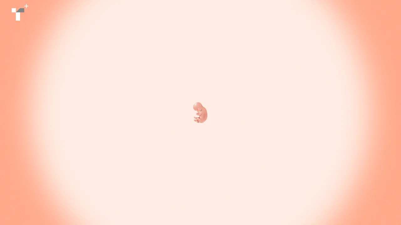 เมื่อการเลี้ยงลูกให้ดีเป็นเรื่องที่น่ากังวลในโลกยุคใหม่ ยิ่งทำให้การตัดสินใจ ‘มีลูก’ หรือ ‘ไม่มีลูก’ ยากขึ้นกว่าเดิม แล้วจะตัดสินใจจากอะไรอย่างไรดี?