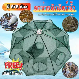 ตาข่ายดักปลา มุ้งดักปลา อัตโนมัติ 6/8 ช่อง ทรงร่ม กางง่าย พับเก็บสะดวก ตาข่ายไนลอนหนาพิเศษ (แถมฟรี! เชือก 5 เมตร)
