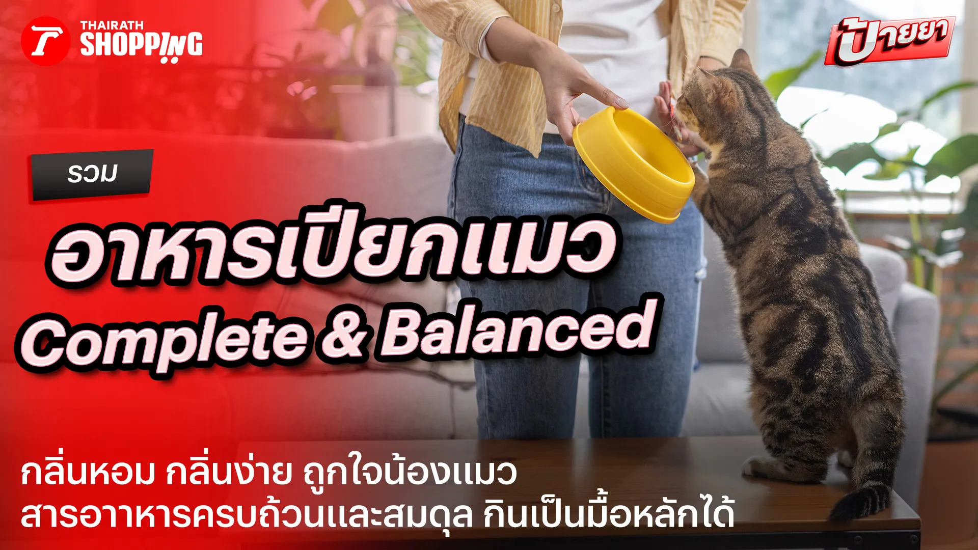 อาหารเปียกแมว สูตร Complete & Balanced ยี่ห้อไหนดี 2026 กินเป็นมื้อหลักได้