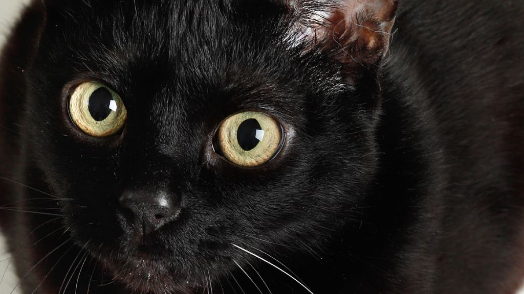 Spotlight: ประเทศไทยเกิดอะไรขึ้นบ้างในสัปดาห์นี้ [17-21 พ.ย. 68]