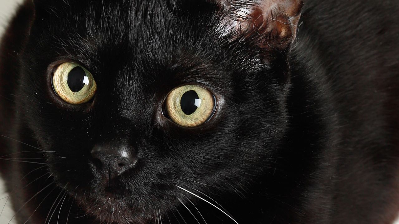 Spotlight: ประเทศไทยเกิดอะไรขึ้นบ้างในสัปดาห์นี้ [17-21 พ.ย. 68]