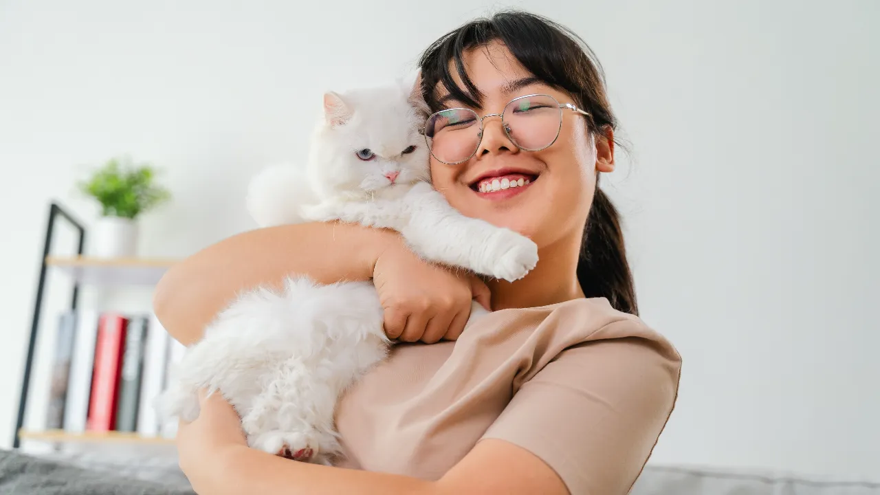 แนะนำ 10 อาหารแมวแก่ ยี่ห้อไหนดี 2025 สารอาหารครบถ้วน ช่วยบำรุงสุขภาพ