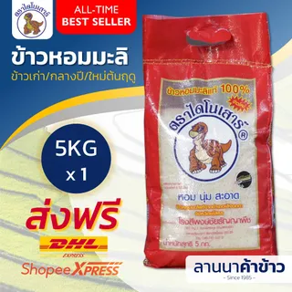 <ส่งฟรี+ลด50%ในไลฟ์>🚛(ข้าวกลางปี66/67 บรรจุ กันยา'67) ข้าวหอมมะลิ ไดโนเสาร์ 5กก.