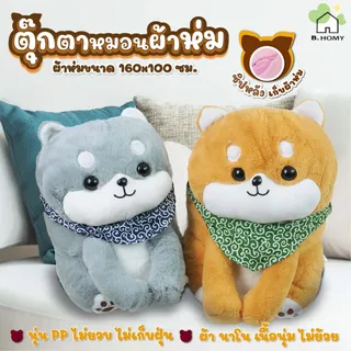 หมอนผ้าห่ม  หมอนนุ่มนิ่ม ราคาถูกที่สุด ลายน่ารัก น่ากอด น่าซื้อ *รุ่นใยโพลีฯบาง B.homy